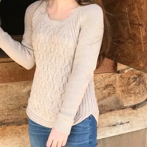 Max Studio Cable Knit Cream Sweater